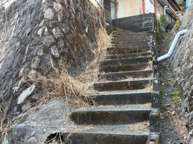 河津町　見高のその他|海側に降りる歩き道