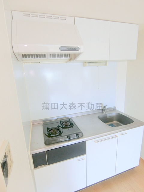 武蔵新田駅最上階角部屋のキッチン