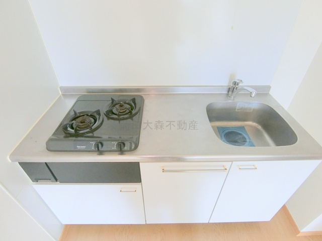 武蔵新田駅最上階角部屋のキッチン