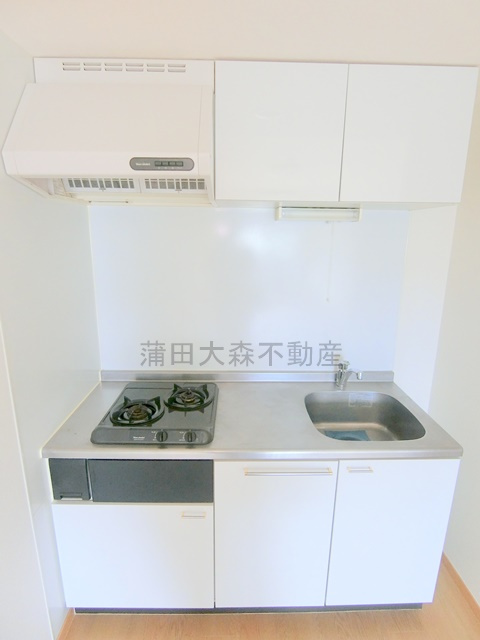 武蔵新田駅最上階角部屋のキッチン|2口ガスシステムキッチン