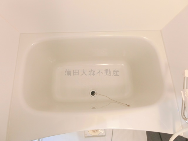 The Cullinan est(ザ カリナン エスト)の浴室
