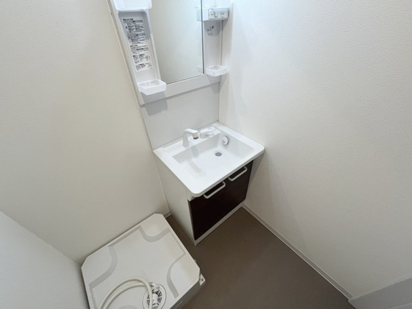 ジーメゾン指扇エクレールの洗面所