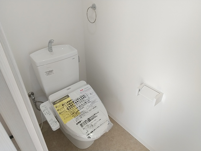 双輪建物第八コーポのトイレ