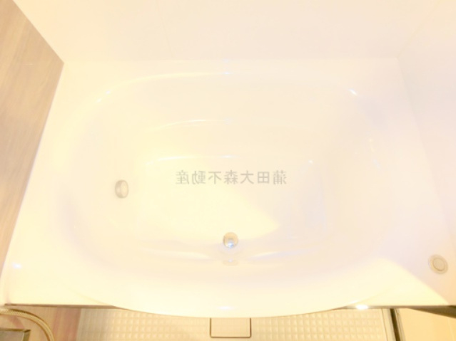 クレヴィアリグゼ西馬込の浴室