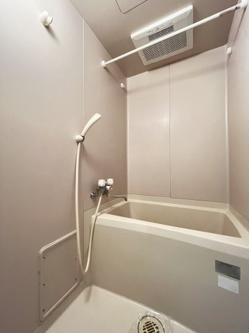 参考写真