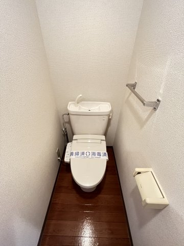 参考写真
