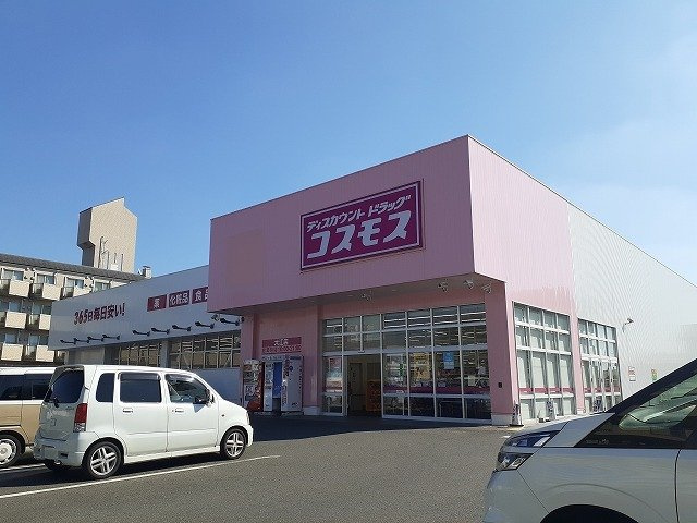 熊本市中央区大江１丁目のアパートの周辺|コスモス大江店まで800m