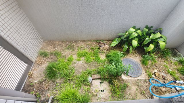 【庭】ベルヴィ本山中町