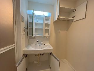 ネクストステージの洗面所|建具の色は相違がございます（イメージ）