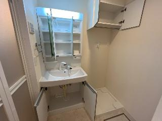 ネクストステージの洗面所|建具の色は相違がございます（イメージ）