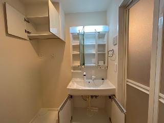 ネクストステージの洗面所|建具の色は相違がございます（イメージ）