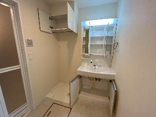 ネクストステージの洗面所|建具の色は相違がございます（イメージ）