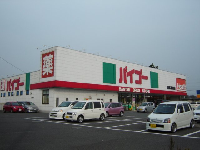 アイ・リッシュの周辺|ドラッグセイムス日高原宿店まで572ｍ
