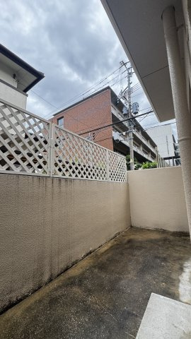 ラーナ竜王の展望