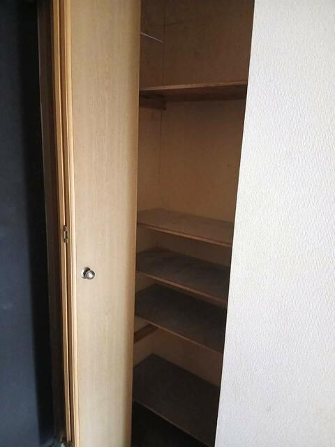 海老名市上今泉２丁目の賃貸マンションの収納