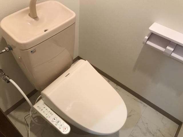 ドミールⅡのトイレ|トイレ