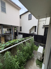 写真は他室
