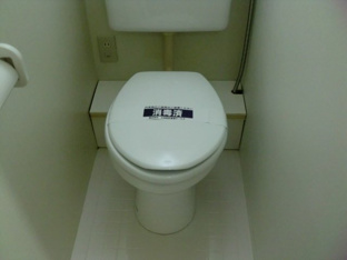 落ち着いた色調のトイレです
