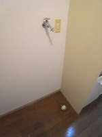 室内洗濯機置場