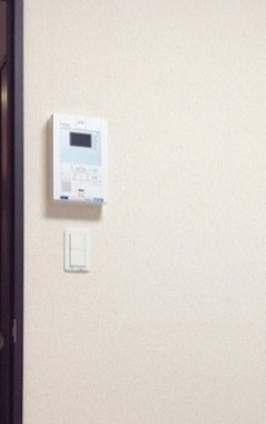 レオネクストアスカのセキュリティ