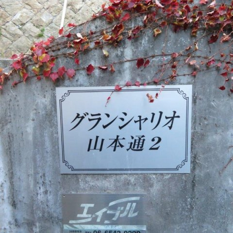 グランシャリオ山本通2のその他
