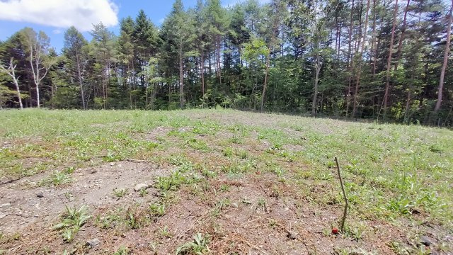中軽井沢 開放感あふれる大日向分譲地 B区画