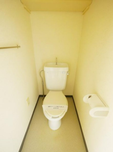 相模原市中央区清新５丁目の賃貸マンションのトイレ