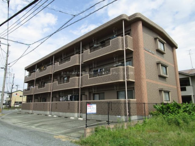 Ciruela須屋 