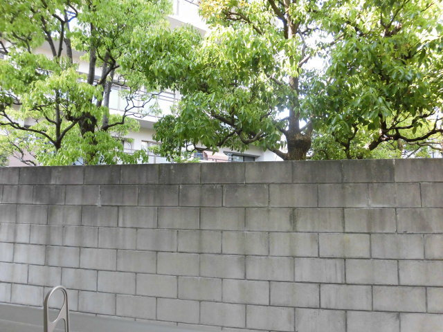 フジパレス瑞光２番館