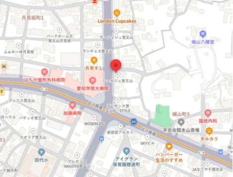 HARVEY TERRACE 覚王山の地図