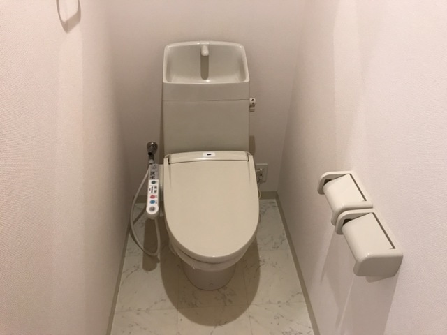 ユーハウスⅦのトイレ