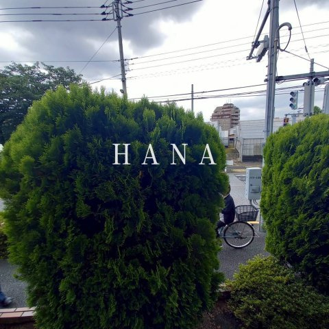 ＨＡＬＣ　WESTの展望