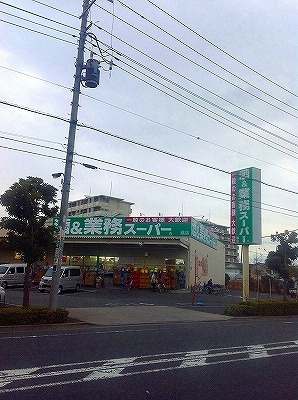 レオネクストエスペランサ扇大橋の周辺|71735892_22.jpg