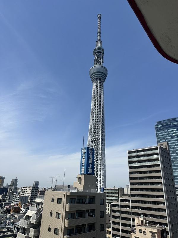 吉田マンションの展望|73784972_19.jpg