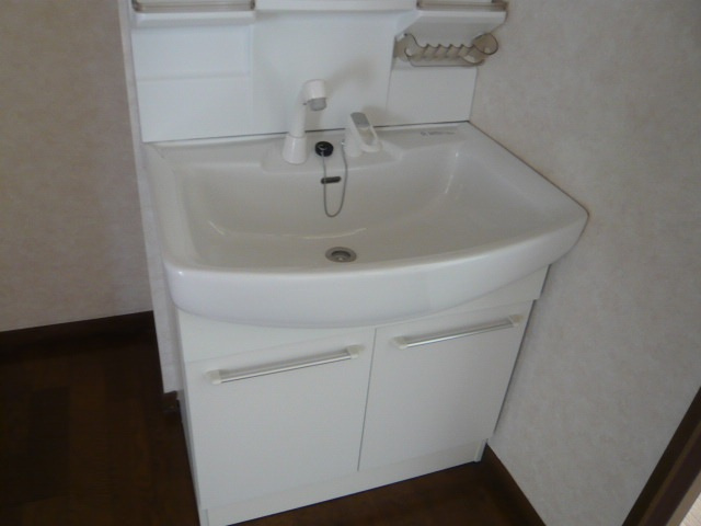 広島市南区京橋町の賃貸マンションの洗面所