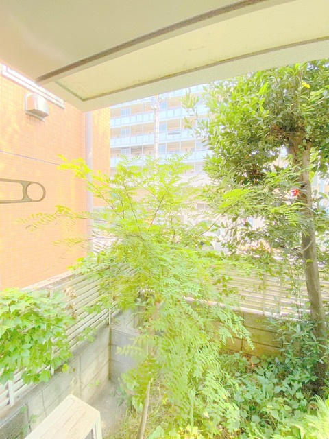 クオリティ松永の展望