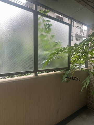 パークウェル文京千石の展望
