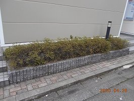 レオパレスエストントのその他