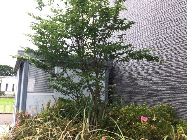 レオパレス清流Ⅲのその他