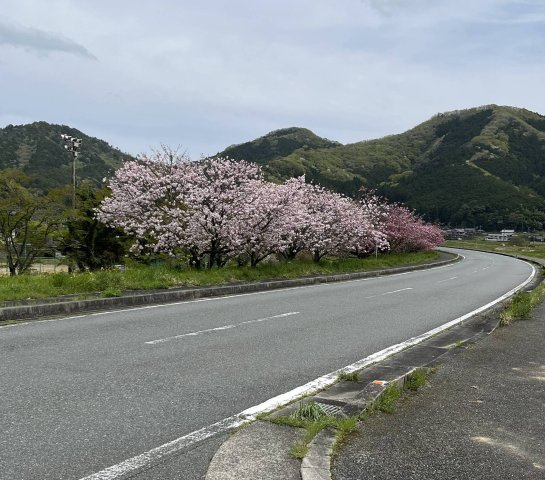 丹波市市島町上牧の売地の周辺