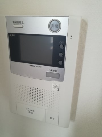 レヴァンテ両国のセキュリティ