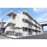 Y&M VillaWhiteの画像