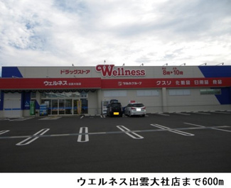 【周辺】 | インプレス　Ａ | ウエルネス出雲大社店まで600m