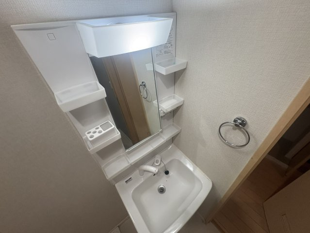アミルV番館の洗面所