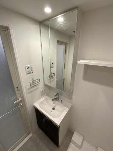 プラシア蒲田 ＴＨＥ ＧＲＡＮＤ ＲＥＳＩＤＥＮＣＥの洗面所|コンパクトで使いやすい洗面所