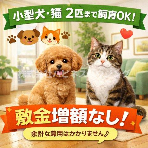ベルフィオーレ千代田のその他