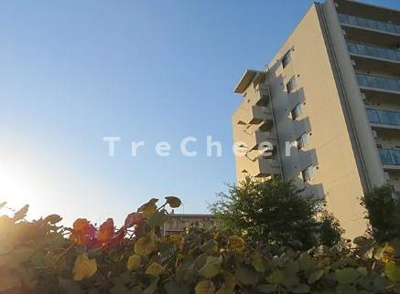 【展望】 | ハレマリノ豪徳寺