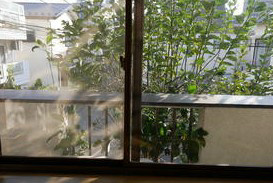 稲葉荘の展望
