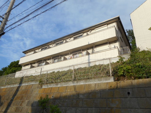ＭＡＩＳＯＮ ｄｅ ＷＡＴＡＹＡのその他