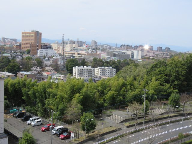 の-の画像